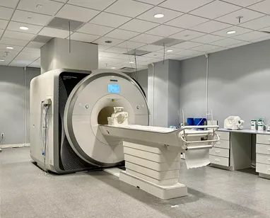 "Eve" Siemens Prisma 3T Human MRI